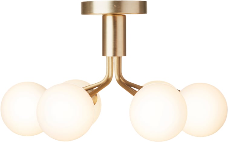 Apiales 6 Ceiling, Brushed Brass   Opal fra Nuura